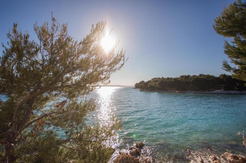 فيلا Mara'S Coast - Dalia دراغ المظهر الخارجي الصورة
